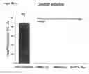 Fig. 29 - METHODS AND COMPOSITIONS TO TREAT ARRHYTHMIAS