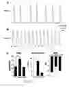 Fig. 41 - METHODS AND COMPOSITIONS TO TREAT ARRHYTHMIAS