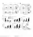 Fig. 02 - Tumor immunity