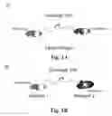 Fig. 02 - Masking Ligands For Reversible Inhibition Of Multivalent Compounds