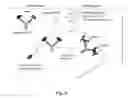 Fig. 04 - Masking Ligands For Reversible Inhibition Of Multivalent Compounds