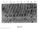 Fig. 14 - Masking Ligands For Reversible Inhibition Of Multivalent Compounds
