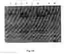 Fig. 15 - Masking Ligands For Reversible Inhibition Of Multivalent Compounds