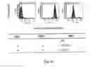 Fig. 17 - Masking Ligands For Reversible Inhibition Of Multivalent Compounds