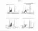 Fig. 04 - MODIFIED POLYSACCHARIDES FOR CONJUGATE VACCINES