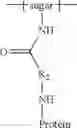 Fig. 09 - MODIFIED POLYSACCHARIDES FOR CONJUGATE VACCINES
