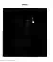Fig. 05 - Adaptation of Pitman Moore strain of rabies virus to primary chick embryo fibroblast cell cultures