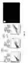 Fig. 06 - Synthetic cell platforms and methods of use thereof