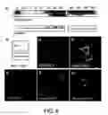 Fig. 09 - Synthetic cell platforms and methods of use thereof