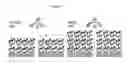 Fig. 06 - Polypeptide films and methods