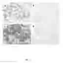 Fig. 02 - Pharmaceutical composition and pharmaceutical kit for the treatment of hepatocellular carcinoma