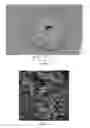 Fig. 02 - CONTINOUS DOUBLE EMULSION PROCESS FOR MAKING MICROPARTICLES