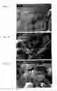 Fig. 08 - Drug Delivery Systems and Use Thereof