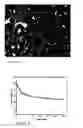 Fig. 02 - AERATED FOOD PRODUCT AND PROCESS FOR PREPARING IT