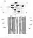 Fig. 01 - Method of strengthening tool material by penetration of reinforcing particles