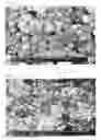 Fig. 02 - Process for preparation of silver nanoparticles, and the compositions of silver ink containing the same