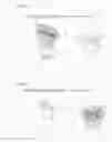 Fig. 09 - OPTICAL INFORMATION RECORDING MEDIUM, AND TWO-PHOTON ABSORBING MATERIAL
