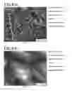 Fig. 06 - STEEL MATERIAL COMPOSITE AND MANUFACTURING METHOD THEREOF