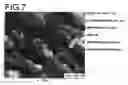 Fig. 07 - METAL AND RESIN COMPOSITE AND MANUFACTURING METHOD THEREOF