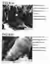 Fig. 08 - METAL AND RESIN COMPOSITE AND MANUFACTURING METHOD THEREOF