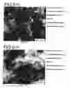 Fig. 09 - METAL AND RESIN COMPOSITE AND MANUFACTURING METHOD THEREOF