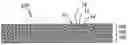 Fig. 01 - Multi-layered fiber