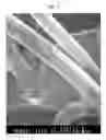 Fig. 02 - INJECTION-MOLDED ARTICLE OF A FIBER-REINFORCED POLYLACTIC ACID RESIN