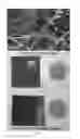 Fig. 02 - MACROPOROUS CARBON NANOFOAM COMPOSITES AND METHODS OF MAKING THE SAME