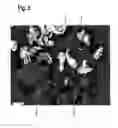 Fig. 06 - DUPLEX-ALUMINIUM MATERIAL BASED ON ALUMINIUM WITH A FIRST PHASE AND A SECOND PHASE AND METHOD FOR PRODUCING THE DUPLEX-ALUMINIUM MATERIAL