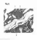 Fig. 09 - DUPLEX-ALUMINIUM MATERIAL BASED ON ALUMINIUM WITH A FIRST PHASE AND A SECOND PHASE AND METHOD FOR PRODUCING THE DUPLEX-ALUMINIUM MATERIAL