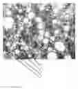 Fig. 02 - Powder metallurgy composition