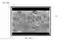 Fig. 01 - Strain-detecting composite materials