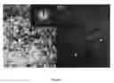 Fig. 05 - High-capacity nanostructured germanium-containing materials and lithium alloys thereof