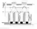 Fig. 01 - Resist composition for negative tone development and pattern forming method using the same