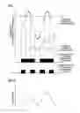 Fig. 08 - Resist composition for negative tone development and pattern forming method using the same