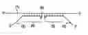 Fig. 02 - Rapid Test for Detecting DNA Sequences