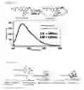 Fig. 03 - Fluorescence-producing molecule