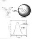 Fig. 05 - Fluorescence-producing molecule