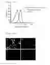 Fig. 09 - Fluorescence-producing molecule
