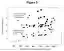 Fig. 04 - COMPETITOR MOLECULES USEFUL FOR LOWERING NONSPECIFIC ADSORPTION OF DYE LABELED NUCLEOTIDES