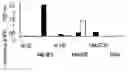 Fig. 01 - ADAM12, a novel marker for abnormal cell function