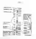 Fig. 02 - TUMOR SUPPRESSOR DESIGNATED TS10Q23.3