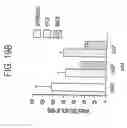 Fig. 43 - TUMOR SUPPRESSOR DESIGNATED TS10Q23.3