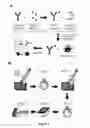 Fig. 02 - Methods for detecting biomolecules in a sample