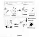 Fig. 06 - Methods for detecting biomolecules in a sample