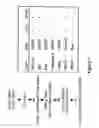 Fig. 08 - Use of Hepatitis B X-Interacting Protein (HBXIP) in Modulation of Apoptosis