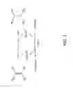 Fig. 02 - Enone reductases