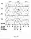 Fig. 14 - Functional Mutations In Respiratory Syncytial Virus