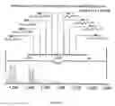 Fig. 08 - Method for identifying naphthenates in a hydrocarbon containing liquid