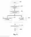 Fig. 09 - METHOD AND SYSTEM FOR SURVEILLANCE BASED ON VIDEO-CAPABLE MOBILE DEVICES